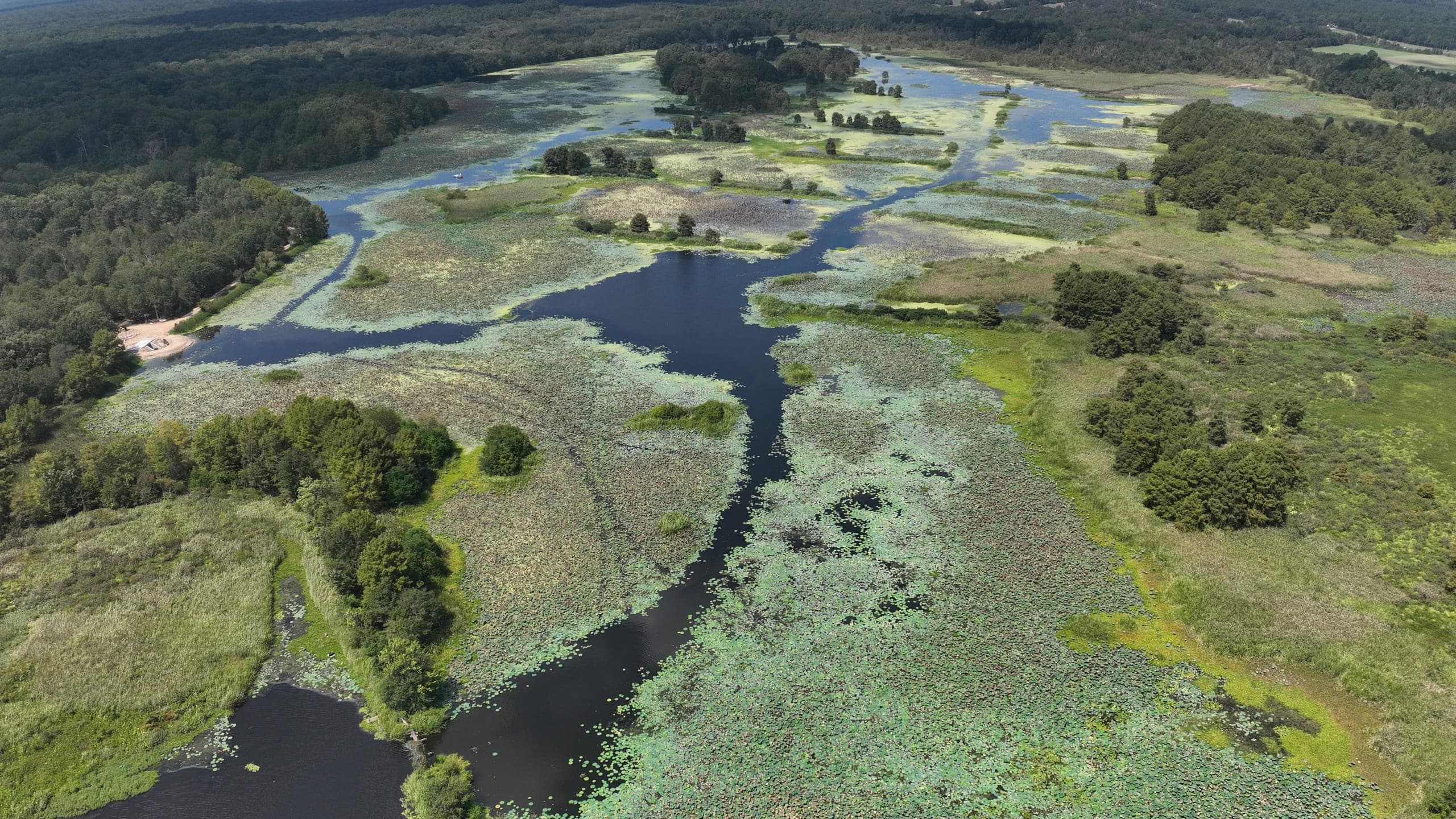 Aerial view of a wooded Texas lake shoreline and open water