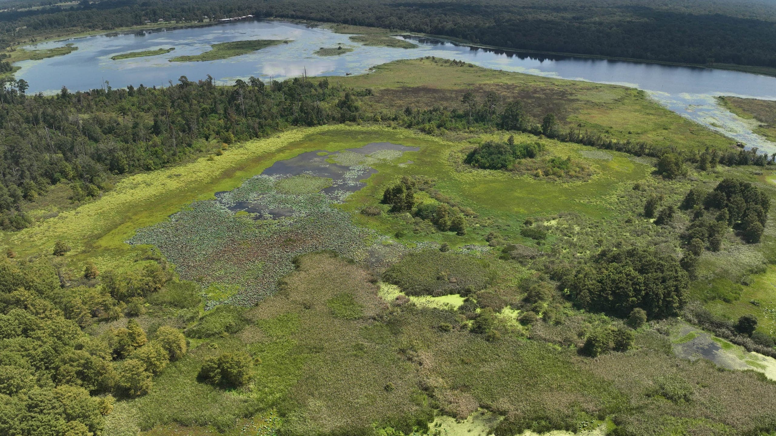 An epic aerial view of a Texas wetland lake